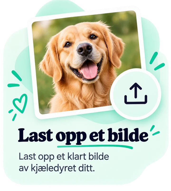 Steg 1, Last opp et bilde: Last opp et klart bilde av kjæledyret ditt.